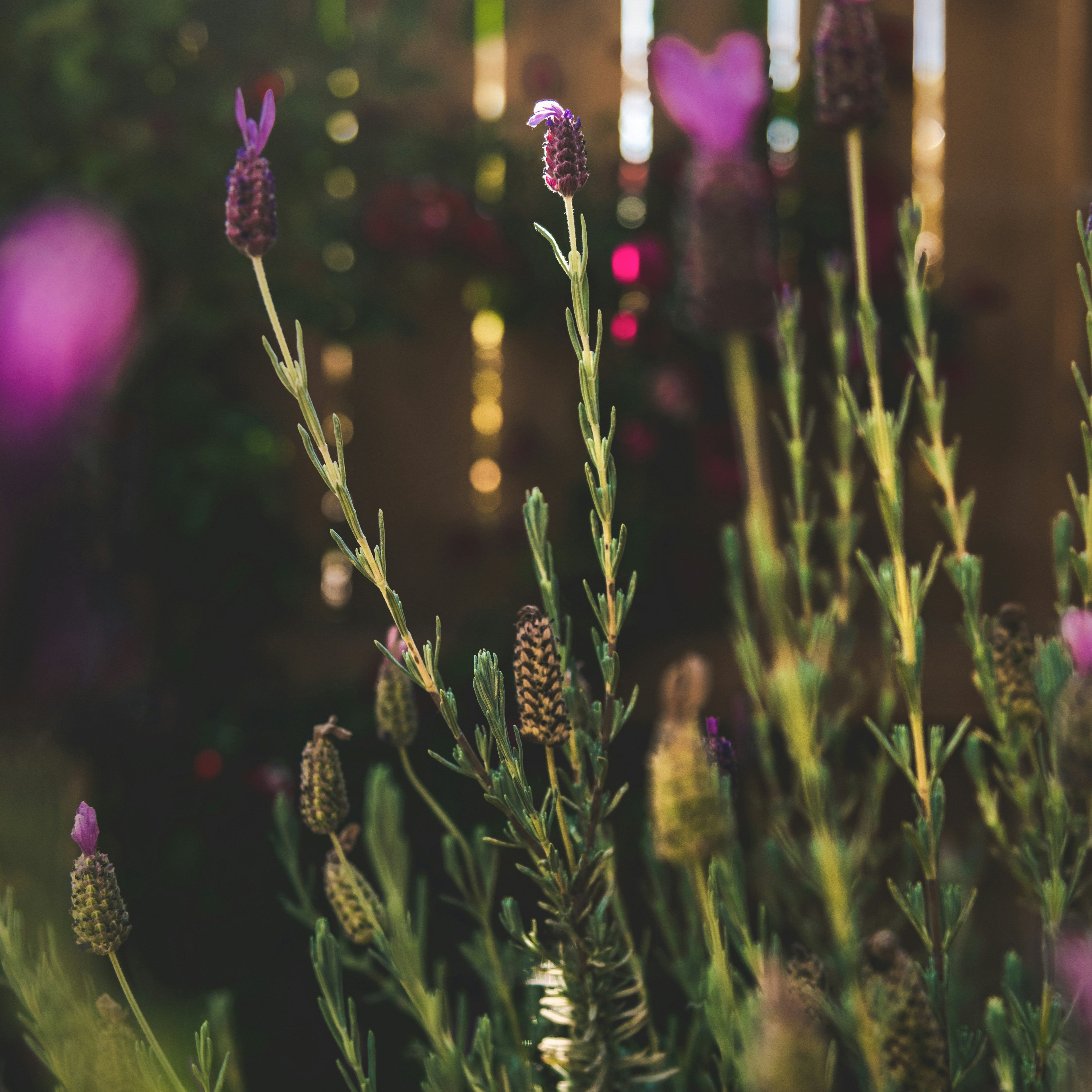 This Moment, Chosen.