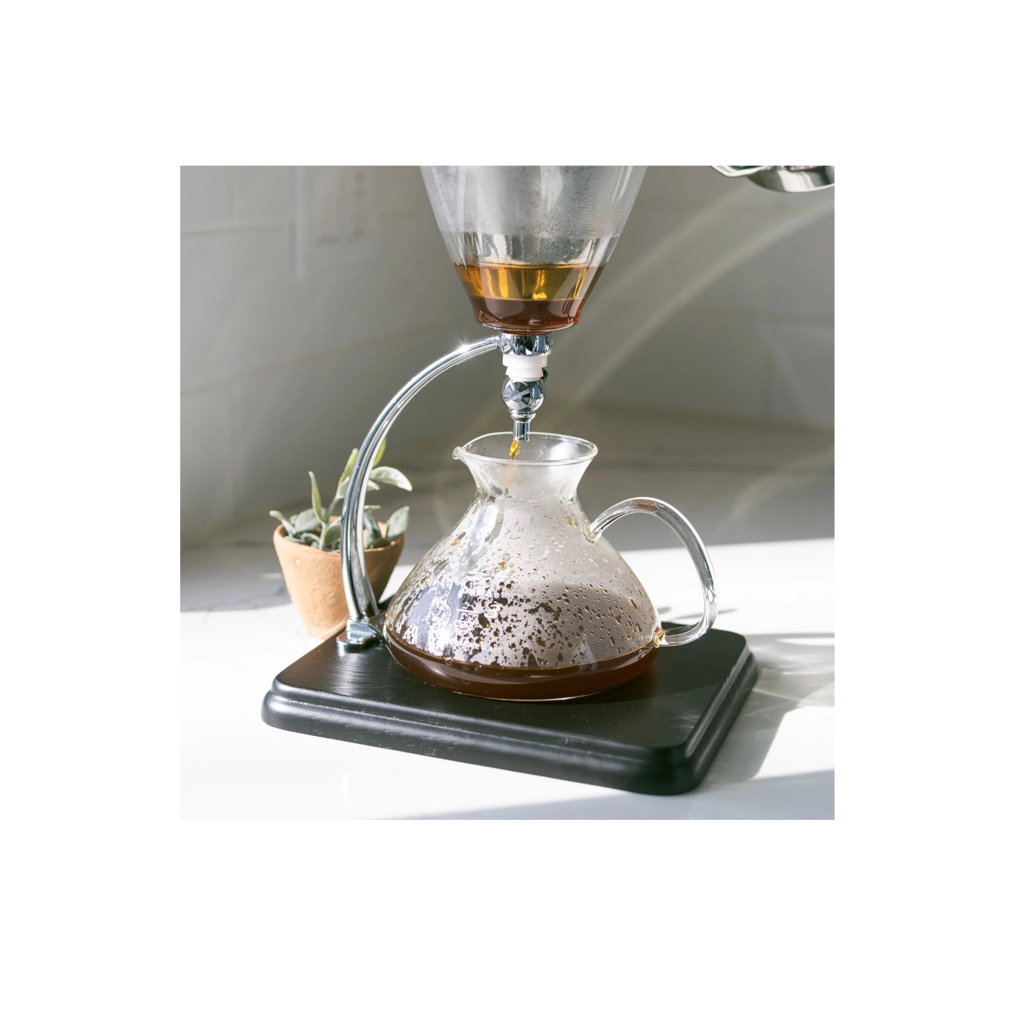 Yama Silverton Glass Pour-Over Brew system shown in action with coffee dripping into carafe sitting on a counter with sun bursting in and a succulent plant next to it